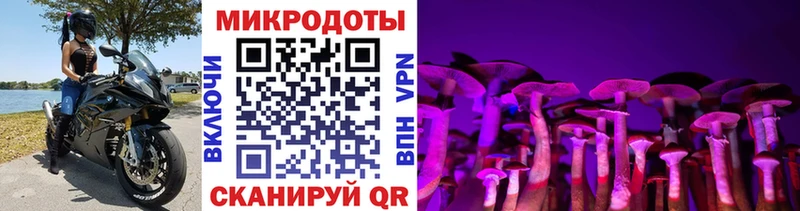 где купить наркоту Ейск Псилоцибиновые грибы прущие грибы